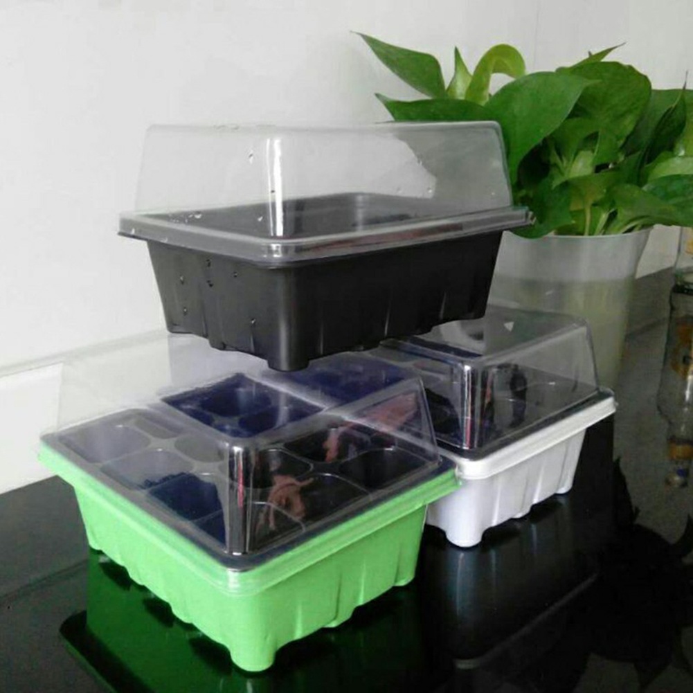 Bonsai Garden Grow Kit - 씨앗 발아 키트 12구 묘목 트레이