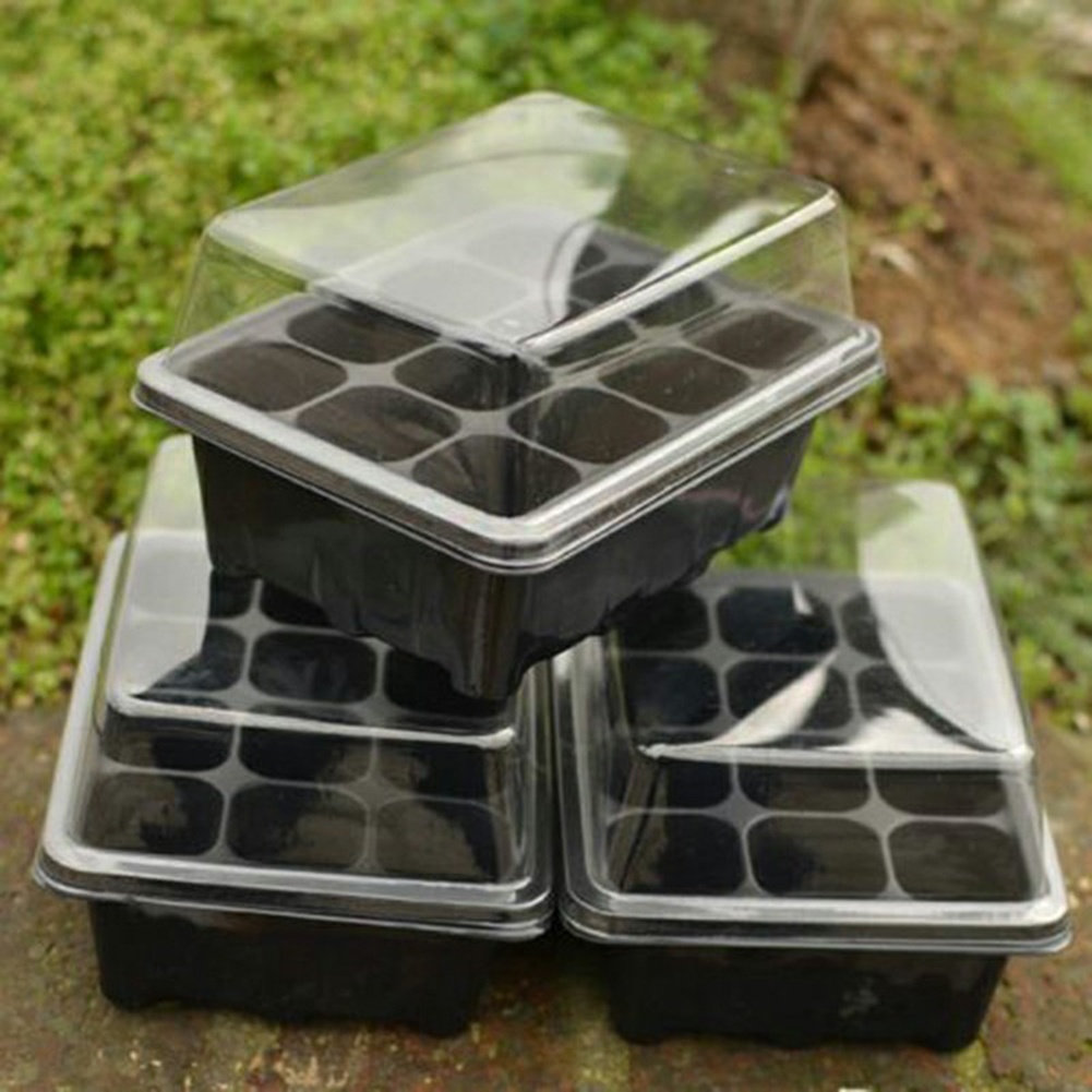 씨앗 발아 키트 12구 묘목 트레이 정원용 발아 트레이 - Bonsai Garden Grow Kit 리뷰 및 가격